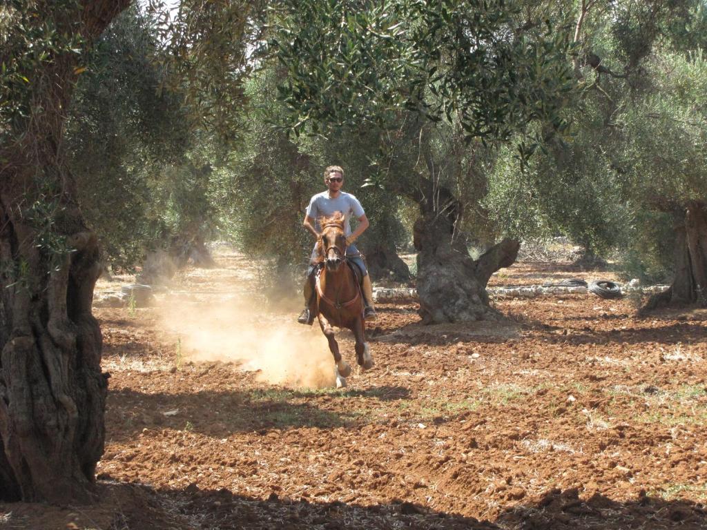 奥斯图尼 Antica Masseria Carparelli旅馆 外观 照片