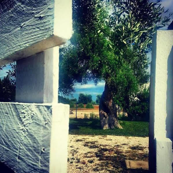 奥斯图尼 Antica Masseria Carparelli旅馆 外观 照片